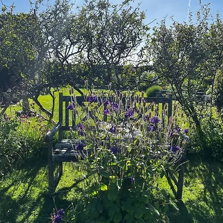 Byre - Farm Cottage On 9 Acre Equestrian Small Holding Salisbury Exterior photo