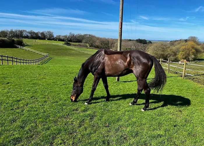 Byre - Farm Cottage On 9 Acre Equestrian Small Holding