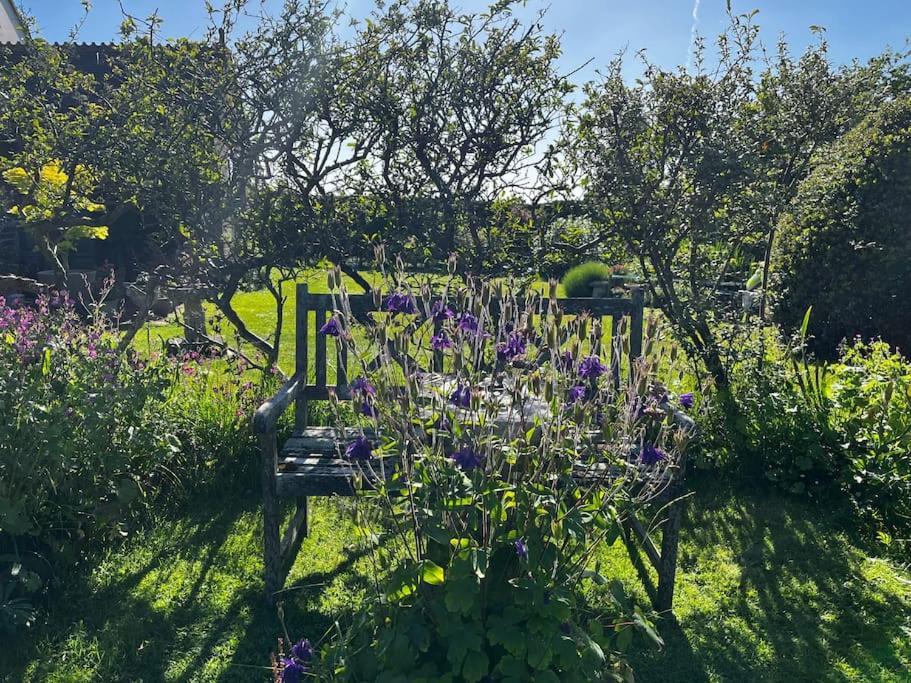 Byre - Farm On 9 Acre Equestrian Small Holding Apartment *