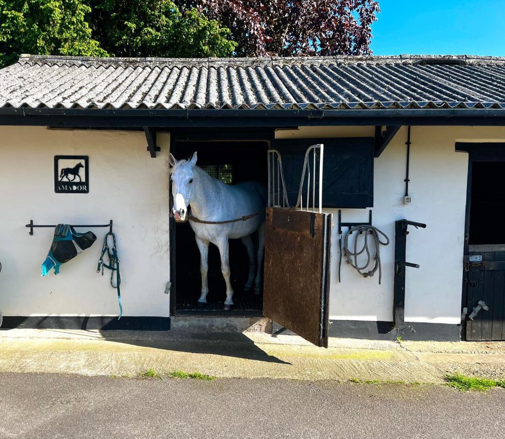 Apartment Byre - Farm On 9 Acre Equestrian Small Holding