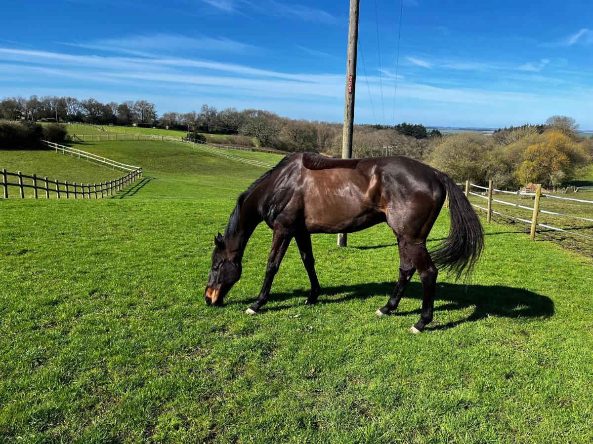 Byre - Farm On 9 Acre Equestrian Small Holding
